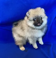 processed/4f8737f7-0e8c-4586-b317-c8eaac1302cb/listing/22f2f43b-caa0-4828-900d-dd9da5984384/cfafe342-1296-43c7-a54c-786bf4afae1d