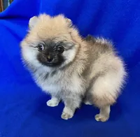 processed/4f8737f7-0e8c-4586-b317-c8eaac1302cb/listing/22f2f43b-caa0-4828-900d-dd9da5984384/f5410ad4-5d46-45c9-85e7-16352a9e124c