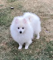 processed/4f8737f7-0e8c-4586-b317-c8eaac1302cb/listing/a1ec8285-70ab-4780-8827-fd9724d2a79f/62e53c97-f3a0-43bd-8b66-10a3ce7b8eca