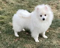 processed/4f8737f7-0e8c-4586-b317-c8eaac1302cb/listing/a1ec8285-70ab-4780-8827-fd9724d2a79f/66236272-e511-45d4-8c0b-fc8444ed7dcb