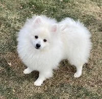 processed/4f8737f7-0e8c-4586-b317-c8eaac1302cb/listing/a1ec8285-70ab-4780-8827-fd9724d2a79f/a1c9ee02-2b80-4777-8560-86f35038647f