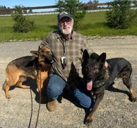 26F Red Collar, a female German Shepherd Dog for sale in Mariposa, CA – 7 of 7