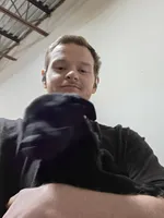 Champion Black Lab Pups, a male Labrador Retriever for sale in Clearwater, FL – Photo 3 of 4