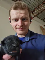 Champion Lineage, a female Labrador Retriever for sale in Clearwater, FL – Photo 1 of 2