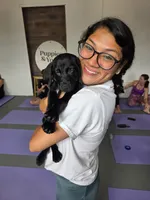 Purebred Champion Black Lab Puppy, a male Labrador Retriever for sale in Clearwater, FL – 8 of 9