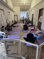 Champion Pedigree AKC, a male Labrador Retriever for sale in Clearwater, FL – Photo 6 of 6