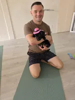 Champion Lineage Black Lab, a male Labrador Retriever for sale in Clearwater, FL – 3 of 10