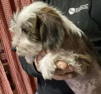 processed/4fcd0ea0-0c12-4bf9-a323-a09fd21cbcd3/listing/0ebb3659-b61e-46b2-ba5e-6ef71b136f21/11c3e6bc-0fd1-4571-99b9-2a05715f2cbc