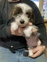 processed/4fcd0ea0-0c12-4bf9-a323-a09fd21cbcd3/listing/0ebb3659-b61e-46b2-ba5e-6ef71b136f21/ba88b9cf-bba0-4b5a-ab62-8a428a71a2d4