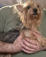 processed/4fcd0ea0-0c12-4bf9-a323-a09fd21cbcd3/listing/b473452f-6f75-4e26-9b8b-1161b5de7047/c359a095-6a3b-4006-8fe8-fc1bce2ffa2d