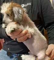 processed/4fcd0ea0-0c12-4bf9-a323-a09fd21cbcd3/listing/e7958f50-98b1-4a54-bf6d-18204644647e/482b2e49-cc10-43ee-902d-8c130c3ba902