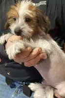 processed/4fcd0ea0-0c12-4bf9-a323-a09fd21cbcd3/listing/e7958f50-98b1-4a54-bf6d-18204644647e/e379e307-80de-42cc-a608-d880d86b08e0