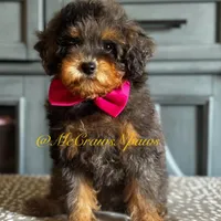 processed/4fd66704-9548-4fd4-9f89-05272db19112/facility/db2a7217-13a5-4ad5-b851-899b827d28ad