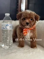 processed/4fd66704-9548-4fd4-9f89-05272db19112/listing/03055c99-4b02-4f10-98d4-82d4ad1f6b32/1d498e92-5d3b-4e55-94dd-440ba769bdf6