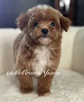 processed/4fd66704-9548-4fd4-9f89-05272db19112/listing/03055c99-4b02-4f10-98d4-82d4ad1f6b32/72b621e3-44d2-4e86-9fbe-ad4c37ac7cf9