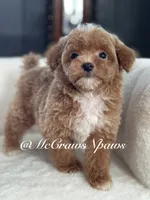 processed/4fd66704-9548-4fd4-9f89-05272db19112/listing/03055c99-4b02-4f10-98d4-82d4ad1f6b32/7e6f457c-9820-4d03-88aa-e033685dc4a5