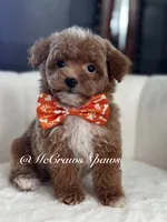 processed/4fd66704-9548-4fd4-9f89-05272db19112/listing/03055c99-4b02-4f10-98d4-82d4ad1f6b32/9bcdd101-0d93-4007-8148-0fc12c34c86b