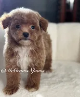 processed/4fd66704-9548-4fd4-9f89-05272db19112/listing/03055c99-4b02-4f10-98d4-82d4ad1f6b32/a34b75ee-fbe3-4af5-9063-d94f5679cb5e