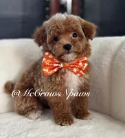 processed/4fd66704-9548-4fd4-9f89-05272db19112/listing/03055c99-4b02-4f10-98d4-82d4ad1f6b32/b780e9c8-05d0-4bc5-be0d-2e7629029e82