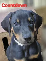 processed/4fe344c4-1ed9-4504-b534-3130519ad924/listing/45eedeb3-8f53-4ab1-a895-fd4b7a78cb22/79dddb6a-9d57-4fe5-b2db-9f4e282a029e