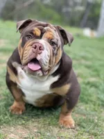 processed/4fe443b1-2542-4c79-ae0d-bec43d1cacef/facility/68646f28-84c1-4a29-b9c6-13af1440b242