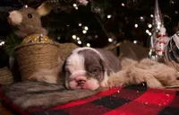 processed/4fe443b1-2542-4c79-ae0d-bec43d1cacef/listing/575574b6-c605-4ae4-b491-b552c3d6fa9c/1111ea64-1760-4117-9e1f-2944913520fa