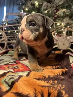 processed/4fe443b1-2542-4c79-ae0d-bec43d1cacef/listing/575574b6-c605-4ae4-b491-b552c3d6fa9c/3f367436-da3e-4eae-aaeb-66da3d4eaa09