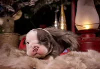 processed/4fe443b1-2542-4c79-ae0d-bec43d1cacef/listing/575574b6-c605-4ae4-b491-b552c3d6fa9c/65ccd1e1-fb7e-4650-bd9e-ddcd766e7734