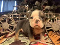 processed/4fe443b1-2542-4c79-ae0d-bec43d1cacef/listing/575574b6-c605-4ae4-b491-b552c3d6fa9c/d7134727-ac5d-4434-810f-ff2fd79c0544