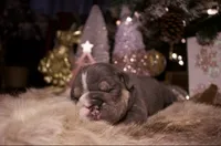 processed/4fe443b1-2542-4c79-ae0d-bec43d1cacef/listing/65ad4f1f-9aff-4e32-a852-45d0e9b9f63c/0af1d7b7-3890-4b51-88c3-080606870607