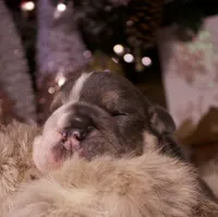 processed/4fe443b1-2542-4c79-ae0d-bec43d1cacef/listing/65ad4f1f-9aff-4e32-a852-45d0e9b9f63c/24450f02-5a3a-417a-8c72-51585dde9ce8