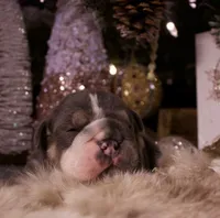 processed/4fe443b1-2542-4c79-ae0d-bec43d1cacef/listing/65ad4f1f-9aff-4e32-a852-45d0e9b9f63c/4d9252ec-afd3-4662-8c12-c263a396d9f3