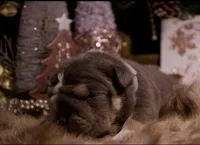 processed/4fe443b1-2542-4c79-ae0d-bec43d1cacef/listing/65ad4f1f-9aff-4e32-a852-45d0e9b9f63c/7abf46fe-6fb6-4043-90b4-61f0c8301c1f