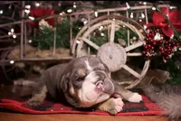 processed/4fe443b1-2542-4c79-ae0d-bec43d1cacef/listing/65ad4f1f-9aff-4e32-a852-45d0e9b9f63c/b28df7e7-e518-441a-8120-7c3a634a81d9