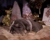 processed/4fe443b1-2542-4c79-ae0d-bec43d1cacef/listing/65ad4f1f-9aff-4e32-a852-45d0e9b9f63c/f613ca92-0e3d-4ec7-abbe-7dcd1c46fa7c