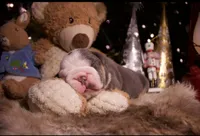 processed/4fe443b1-2542-4c79-ae0d-bec43d1cacef/listing/7ef341ab-b4e9-41e8-840e-1ec4082630bc/51406ee8-cd6a-4489-a10c-531c60d66cc4