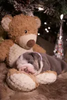 processed/4fe443b1-2542-4c79-ae0d-bec43d1cacef/listing/7ef341ab-b4e9-41e8-840e-1ec4082630bc/cb5b691f-e3f8-4ad2-b45f-d767dfda71c1