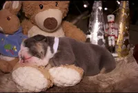 processed/4fe443b1-2542-4c79-ae0d-bec43d1cacef/listing/7ef341ab-b4e9-41e8-840e-1ec4082630bc/f5677eac-af3f-40cb-b251-fb08bcc8c1d0