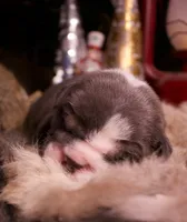 processed/4fe443b1-2542-4c79-ae0d-bec43d1cacef/listing/eeb8ed66-5368-427a-bdad-d4305c1faecb/4d198f2f-f3b7-4128-a48b-4eea4dcce60e