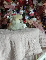 processed/4fe58378-8aa1-4bf1-927c-dbe88753d991/listing/7d56c70e-c72d-444d-a706-7c068ca2df9d/23677735-c22c-4c90-8365-8713a4f1dcea