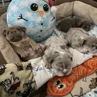 processed/4fe91048-db52-4704-87e0-ce3044205d30/facility/a4fc40fc-13a1-41fa-a1a5-66d1a19747f6