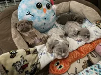 processed/4fe91048-db52-4704-87e0-ce3044205d30/facility/a4fc40fc-13a1-41fa-a1a5-66d1a19747f6