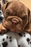 processed/4fe91048-db52-4704-87e0-ce3044205d30/listing/d9175eed-0f79-441d-bee1-530cb5146d38/295888da-ba24-4acc-a07c-dfb2bc5e9f72