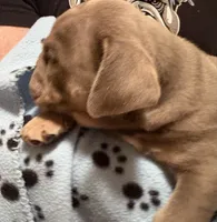 processed/4fe91048-db52-4704-87e0-ce3044205d30/listing/d9175eed-0f79-441d-bee1-530cb5146d38/52f5484a-dd1f-4a92-a374-d93a7b3e7535