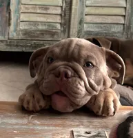 processed/4fe91048-db52-4704-87e0-ce3044205d30/listing/d9175eed-0f79-441d-bee1-530cb5146d38/ae8f7748-95fe-4e9a-a90f-ba32bc25fc03