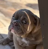 processed/4fe91048-db52-4704-87e0-ce3044205d30/listing/f037bf44-61c9-468f-8161-1d945dd046d4/46bf6d1a-1c19-4973-b5e3-b7140457d222