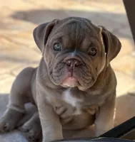 processed/4fe91048-db52-4704-87e0-ce3044205d30/listing/f037bf44-61c9-468f-8161-1d945dd046d4/76da7772-373a-4222-b4de-d5bc7340c0d5