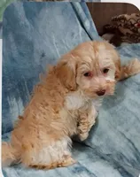 processed/4fed44d2-84e9-47d5-a149-2b05d483b97f/listing/8b31ee8f-c42e-4ad0-8e9d-9e4617d579a6/39c5f113-686a-4df1-b636-5aa20b4b46fc