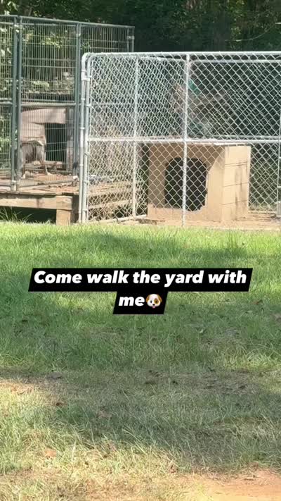 Facility video
