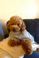 processed/50074229-be6c-4f5f-bd57-f37fd8bda7c4/facility/2c862ef0-ef91-401e-9926-0fb7e2efad42